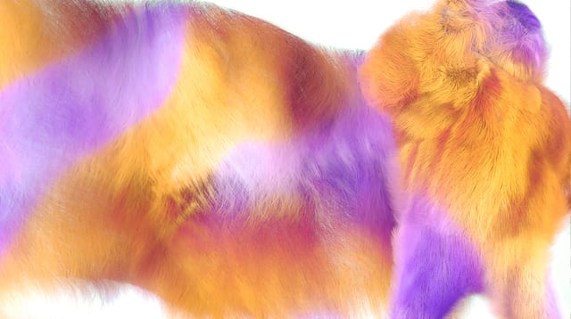 Pride Amsterdam WPP – image 7